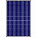 250w solar panel 1