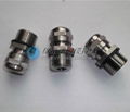wisdom Stainless steel cable gland PG11 2
