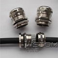 wisdom High quality brass nickel plated metal head