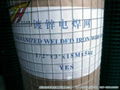  galvanized welded wire mesh