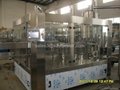 Automatic mineral water bottling line