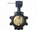 L   ed Worm Gear Butterfly Valve