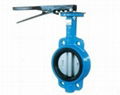 Cast Iron Wafer Type Butterfly Valve  2