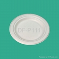 6"  Bagasse Plate (wide edge) 1