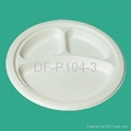 9" 3-Compartment Bagasse Plate
