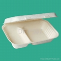 2-Compartment 34 oz Clamshell 1