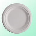 6.8"Round Plate