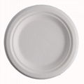 6"  (rippled edge)bagasse plate 4