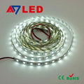 SMD5050 Pure White Flexible LED Strip