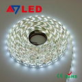 DC12V SMD5050 Pure White Waterproof Flexible LED Strip Light 60leds per m IP65