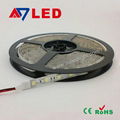 DC12V SMD5050 Pure White Waterproof Flexible LED Strip Light 60leds per m IP65 2