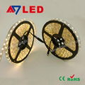 smd5050 led strip warm white 60Leds  IP67 5