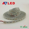 Shenzhen 5050 led strip 5050 waterproof  2