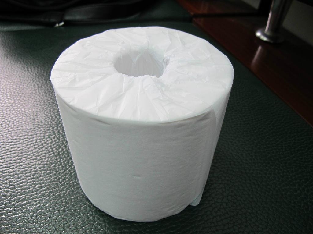 toilet roll tissue 2