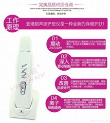 Home Exfoliating Skin Beauty Apparatus