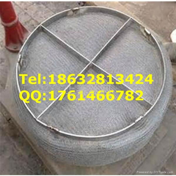 Stainless Steel Wire Mesh Demister 2