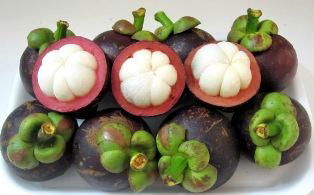 SELL MANGOSTEEN.myskype: smithnguyen1