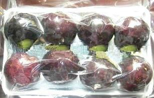 SELL MANGOSTEEN.myskype: smithnguyen1 2