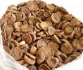 OFFER DRIED BETEL NUTS.pls contact me via SKYPE: smithnguyen1 2