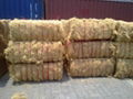 OFFER COCONUT FIBER.pls contact me via SKYPE: smithnguyen1 2