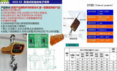 万准衡器防撞吊秤OCS-FZ