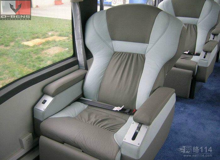 car seat leather 2