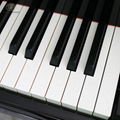 Shanghai Artmann 88 keys GP235 concert grand piano 2