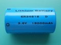 3.6V锂亚电池ER34615