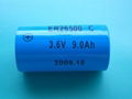 3.6V锂亚电池ER26500