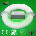 Wholesale circular lvd light 40-300W electronic ballast for circular lamp 150W