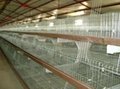 	Animal breed cage mesh welding machine  3