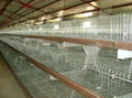 	bird cage mesh production line 3