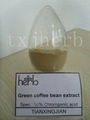 green coffee bean extract with 50% chlorogenic acid 1