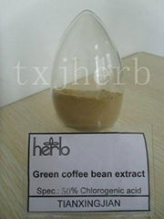 green coffee bean extract with 50% chlorogenic acid