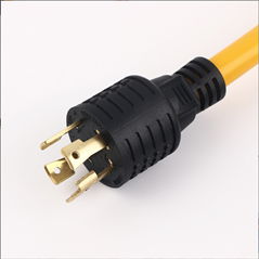 Twist Locking Power cords  