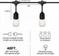 String Light LED COB