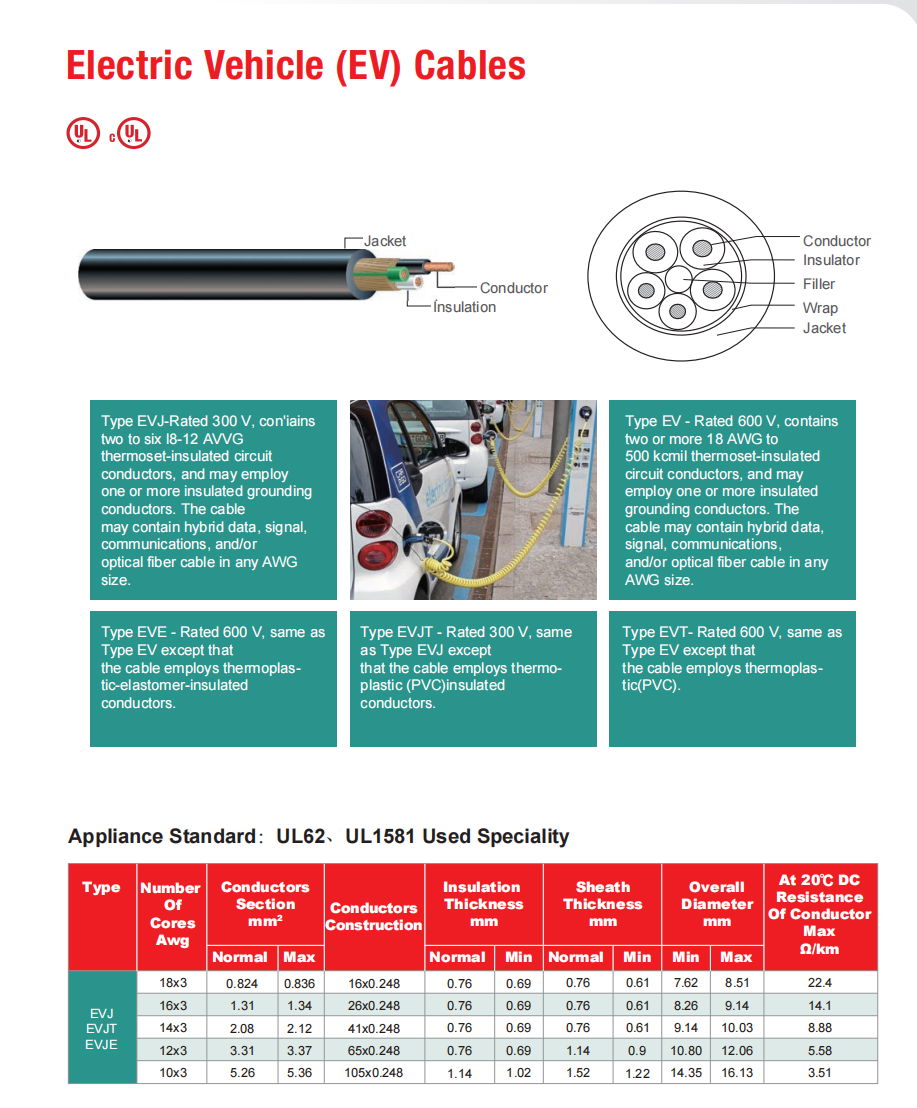 EV Power cord 4