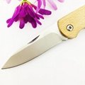 Outdoor stainless steel folding knife with wood Handle 