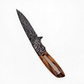 Stainless Steel Survival Foldable Hunting Knife with 3D printing handle