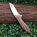 Folding Pocket Knife Outdoor Camping Survival Knives with Clip