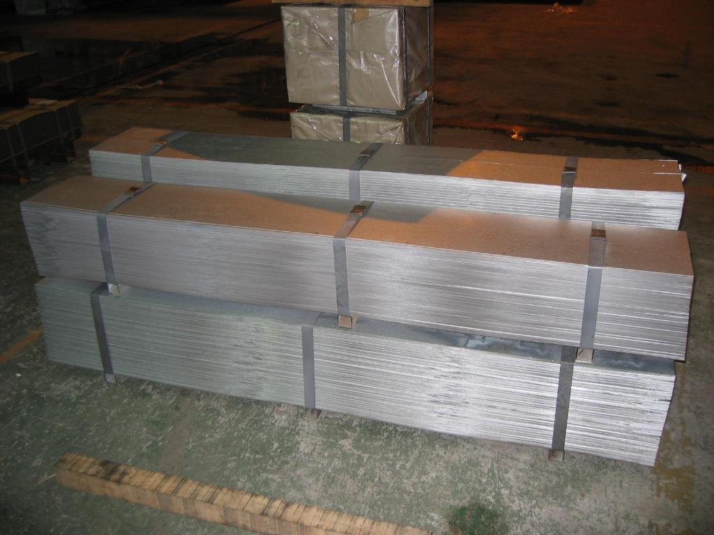 Electro Galvanized steel sheet/coil 3