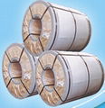 Hot-dip Galvanized steel coil/sheet