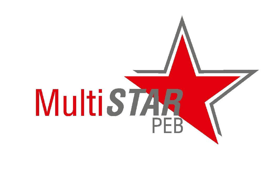 Multi Star PEB 2