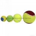 Ningbo virson Sport Practice Exercise Tennis Ball 5