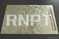 RNPT Brushed Table Place Mat--luxury table placemat 