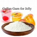 Low acyl gellan gum 1