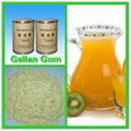 Low acyl gellan gum 4