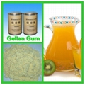 High acyl gellan gum