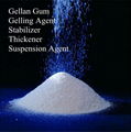 Food Additive Gelling Agent Suspending Agent and Thickening Agent Gellan Gum 5