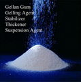 Food Additive Gelling Agent Suspending Agent and Thickening Agent Gellan Gum